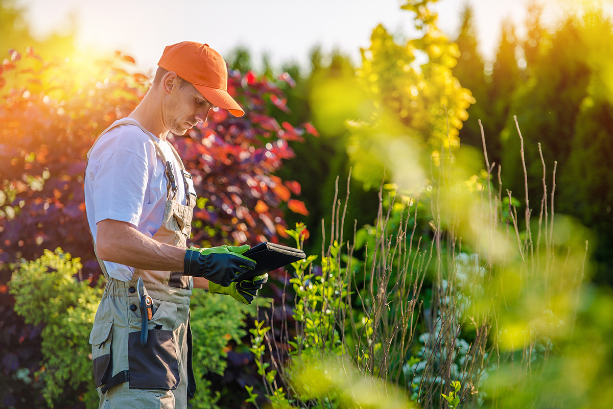 Tech Savvy Customers for Pest Control