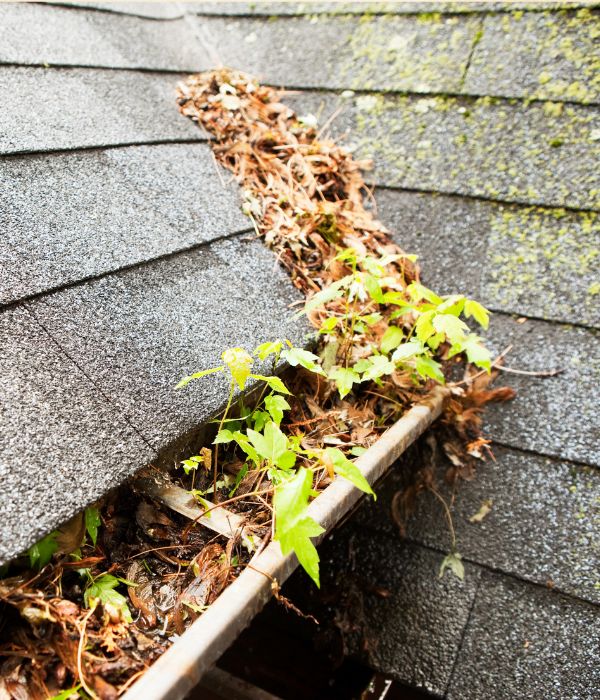 dirty roof