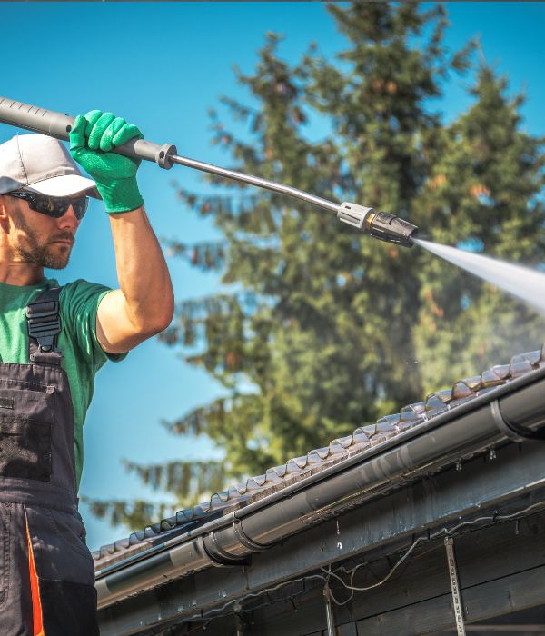 pro roof cleaning