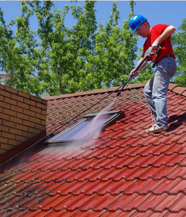 roof cleaning